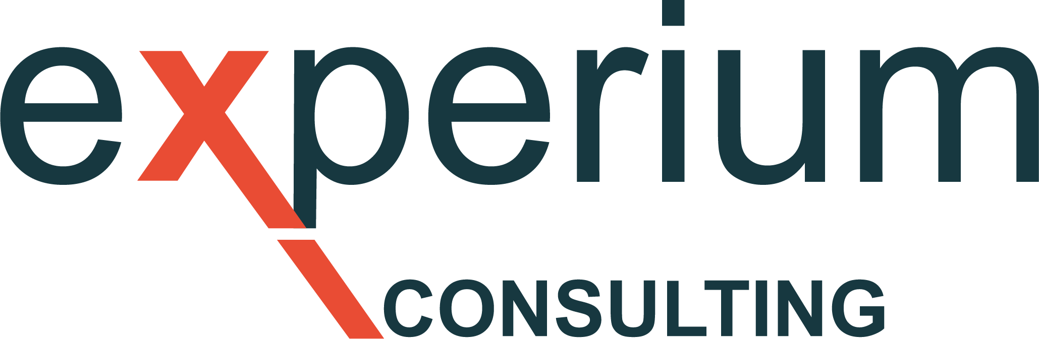 Experium Consulting